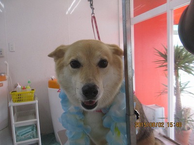 ファイル 8296-1.jpg