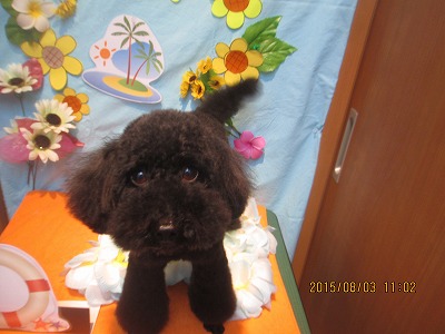 ファイル 8299-1.jpg