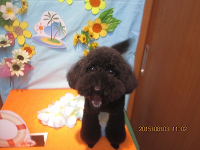 ファイル 8299-2.jpg