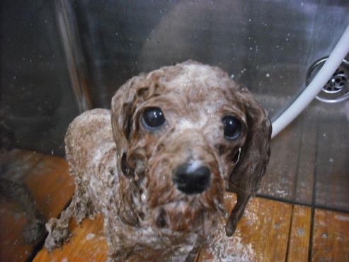 ファイル 83-2.jpg