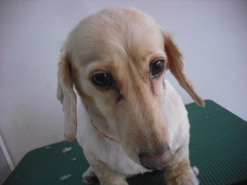 ファイル 830-1.jpg