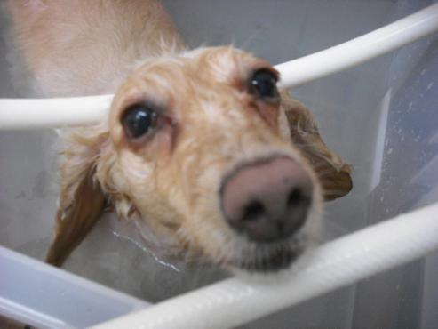 ファイル 830-2.jpg