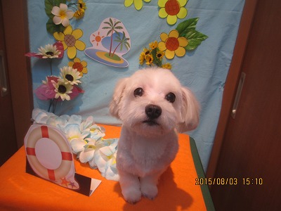 ファイル 8300-1.jpg