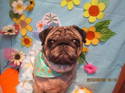 ファイル 8303-1.jpg