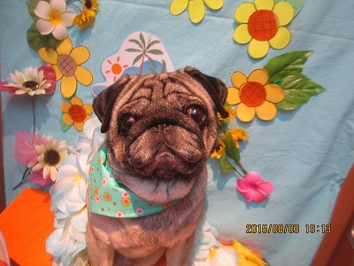 ファイル 8303-2.jpg