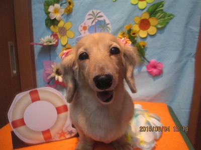 ファイル 8307-1.jpg