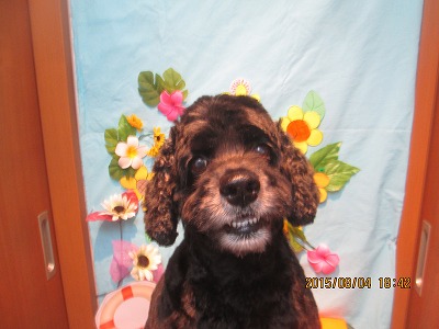 ファイル 8309-1.jpg