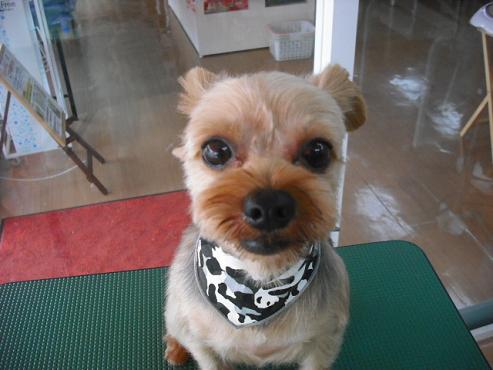 ファイル 831-1.jpg