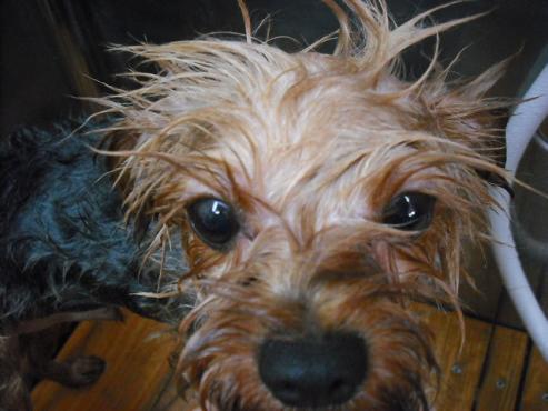 ファイル 831-2.jpg