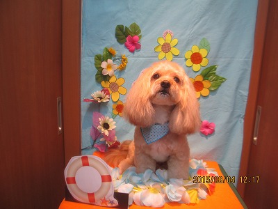 ファイル 8311-1.jpg