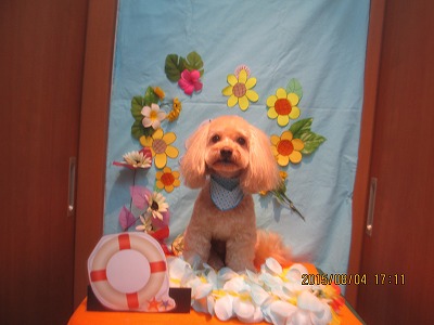 ファイル 8312-1.jpg