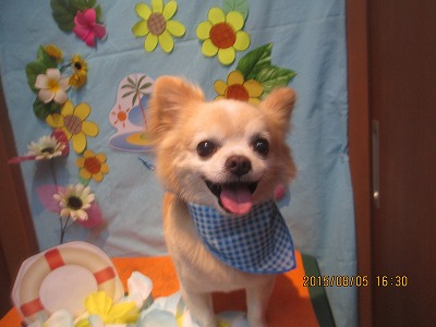 ファイル 8316-1.jpg