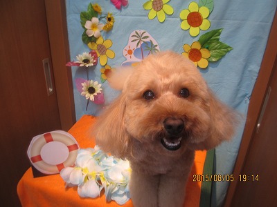 ファイル 8317-1.jpg