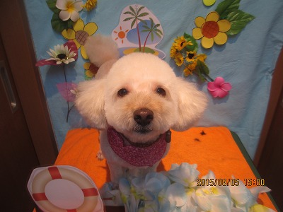 ファイル 8319-1.jpg