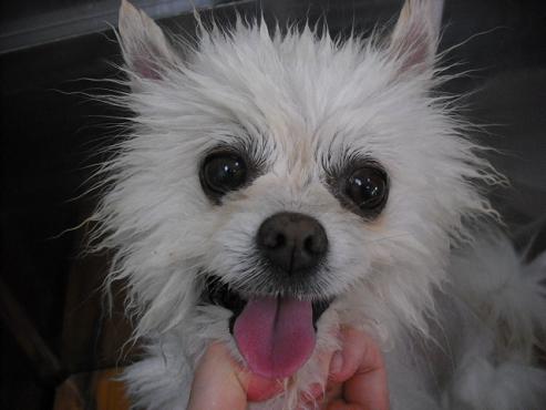 ファイル 832-3.jpg