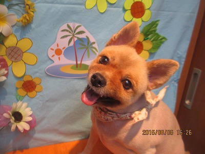 ファイル 8321-1.jpg