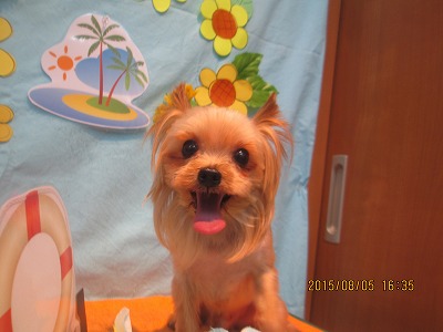 ファイル 8325-1.jpg