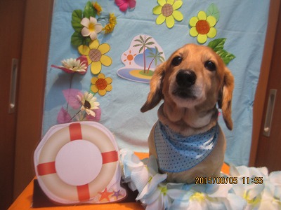 ファイル 8328-1.jpg