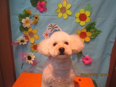 ファイル 8329-1.jpg