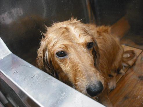 ファイル 833-3.jpg