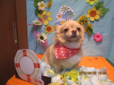 ファイル 8330-1.jpg