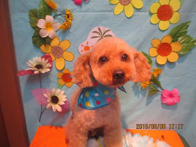 ファイル 8338-1.jpg