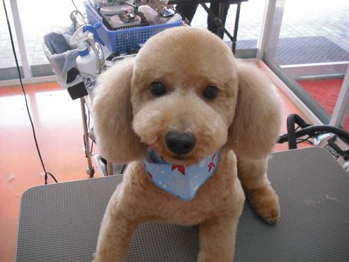 ファイル 834-1.jpg