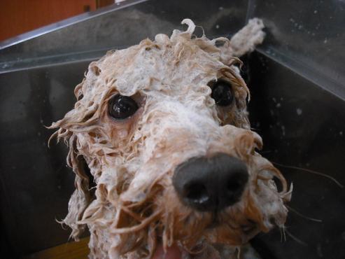 ファイル 834-3.jpg