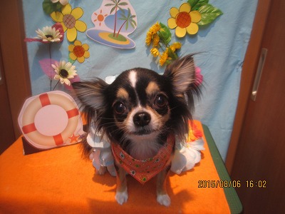 ファイル 8341-1.jpg