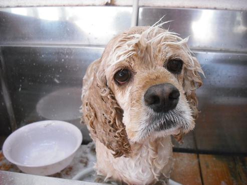 ファイル 835-3.jpg