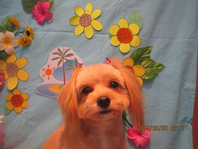 ファイル 8350-1.jpg