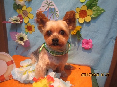 ファイル 8353-2.jpg