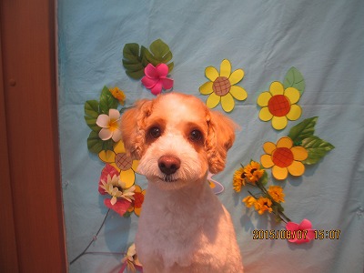 ファイル 8358-1.jpg