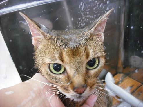 ファイル 836-2.jpg