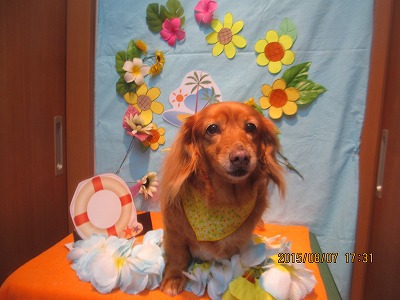 ファイル 8363-1.jpg