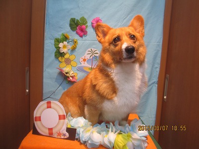 ファイル 8364-1.jpg