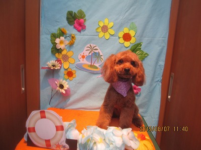 ファイル 8365-1.jpg