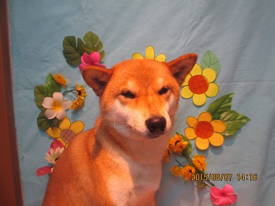 ファイル 8369-1.jpg