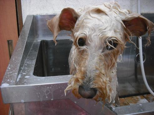 ファイル 837-3.jpg