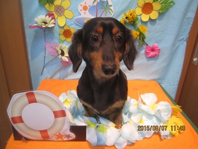 ファイル 8370-1.jpg