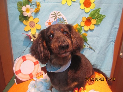 ファイル 8374-1.jpg