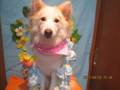 ファイル 8376-2.jpg