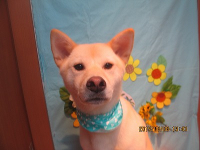 ファイル 8377-2.jpg