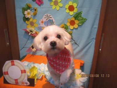 ファイル 8378-1.jpg