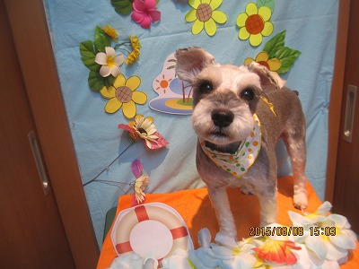 ファイル 8379-1.jpg