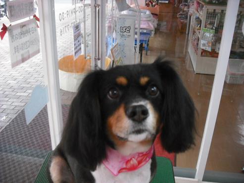 ファイル 838-1.jpg