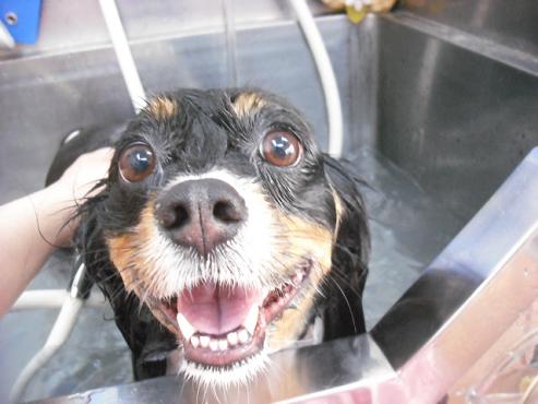 ファイル 838-2.jpg