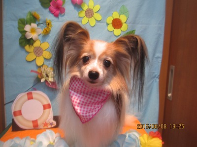 ファイル 8381-1.jpg