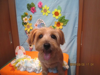 ファイル 8384-1.jpg