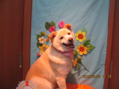 ファイル 8386-1.jpg